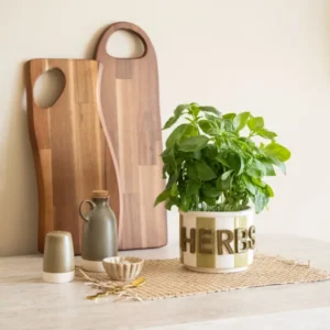 Kruidenpot Herbs Keramiek Groen