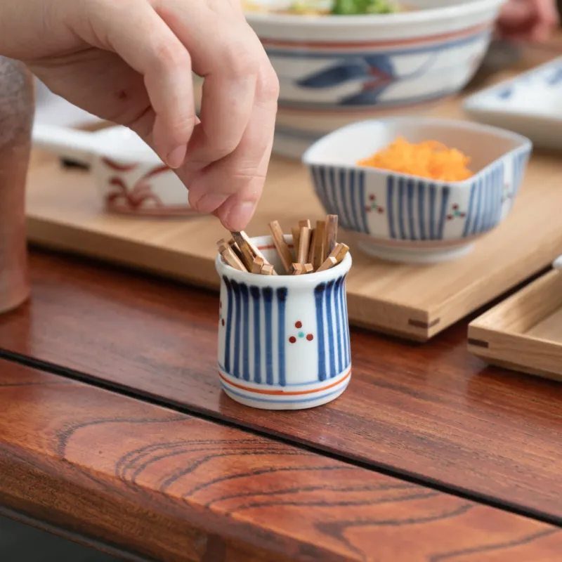 Blue and Red Lines Toothpick Holder