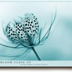 Paul Sinus Wandbild 120x80cm Makro Blume zarte Naturstruktur blau türkis minimalistische Naturfotografie ruhige botanische Kunst moderne