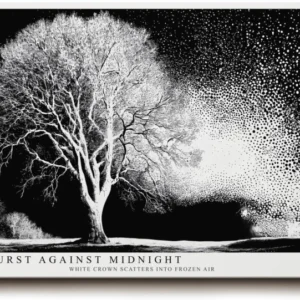 Paul Sinus Wandbild 120x80cm Winterbaum Schneesturm Schwarz Weiss Kontrastreiche Naturkunst Minimalistische Landschaft für Wohnzimmer Büro Flur