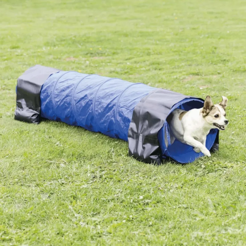Agility Tunnel für Welpen und kleine Hunde