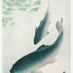 Carp or Koi by Ohara Koson — Two dark carp swim beneath floating leaves and white flowers