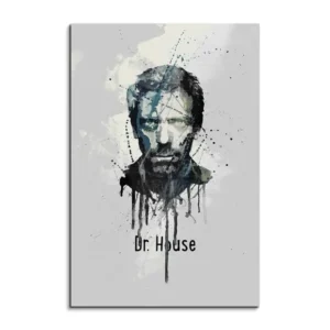 full_Dr-House_90x60cm_FRONT_1280x1280.jpg
