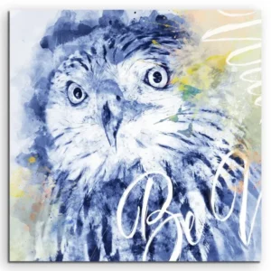 full_Eagle_2017_60x60cm_FRONTTa1ebfDzTd25o_1280x1280.jpg