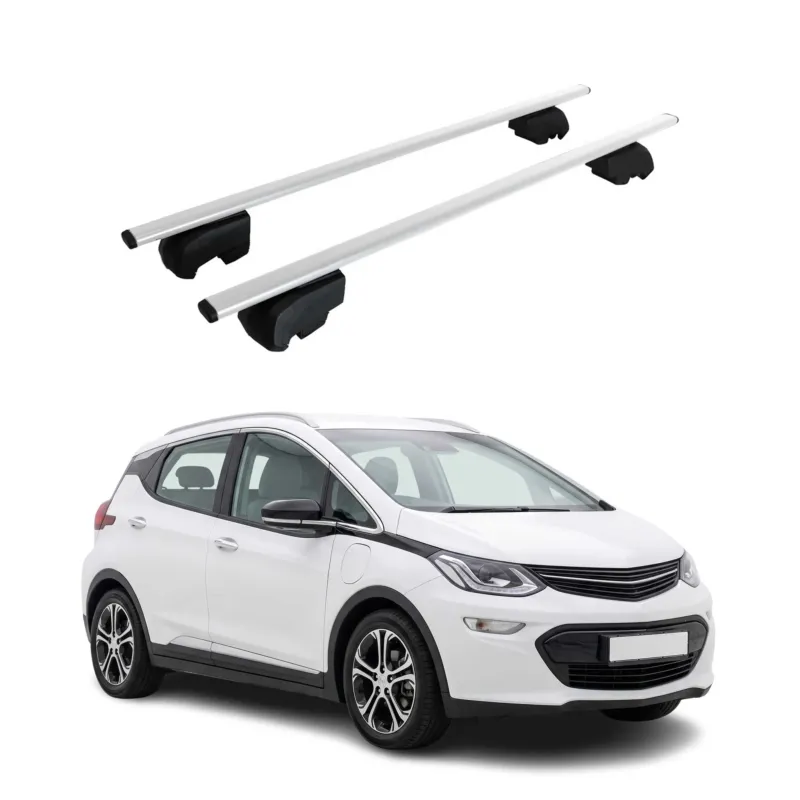 Dachträger Grundträger für Opel Ampera-e 2017-2020 Stahl Silber 2tlg