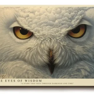 Paul Sinus Wandbild The Eyes of Wisdom Silent Power in White and Gold