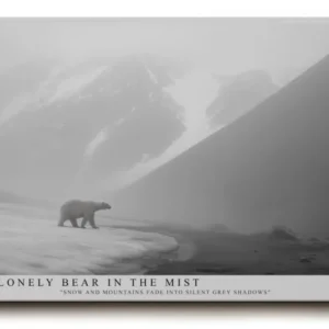 Paul Sinus Wandbild The Lonely Bear in the Mist Polar Silence Across Grey Mountains