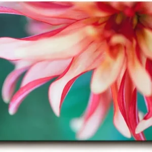 Sinus Art Wandbild 120x80cm Detailreiche Blütenaufnahme mit Bewegung und Leichtigkeit auf natürlichem Grund