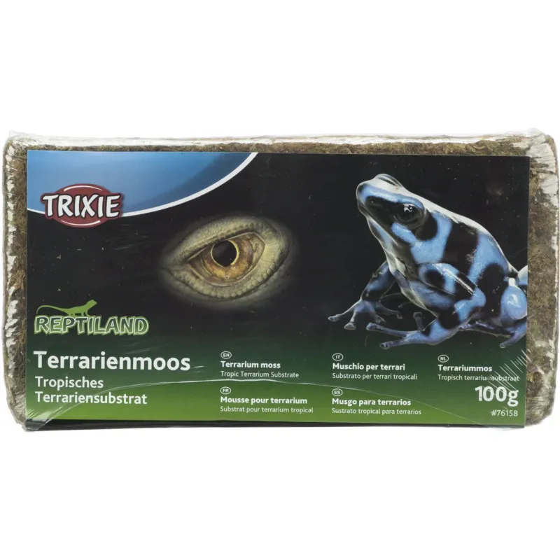 Terrarienmoos tropisches Substrat
