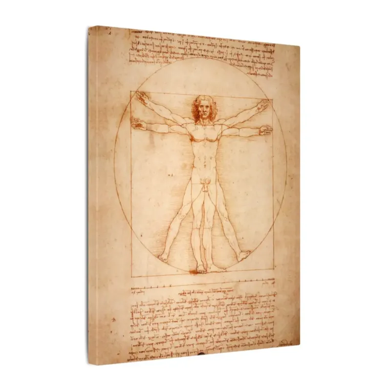 Vitruvian Man by Leonardo da Vinci printed canvas showing the human figure inside a circle and square with handwritten notes