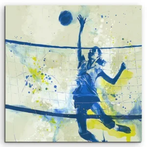 full_Volleyball_60x60cm_FRONT_1280x1280.jpg