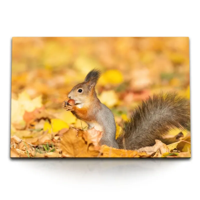 STOCKS_1480q15VLbu4NoAVX_1280x1280.jpg