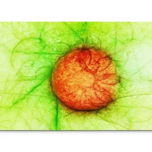 full_Abstrakt_1141_120x80cm_FRONT_1280x1280.jpg