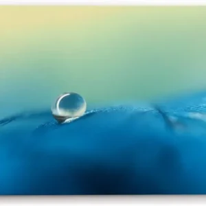 Paul Sinus Wandbild 120x80cm Wassertropfen auf Feder Blau Makrofotografie Türkis